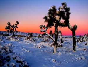 winter snow in southern california