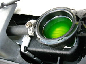 antifreeze in cooling system